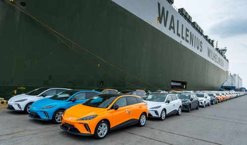 果然,歐洲制裁國(guó)產(chǎn)新能源車(chē)只是手段,讓我們過(guò)去建廠才是目的